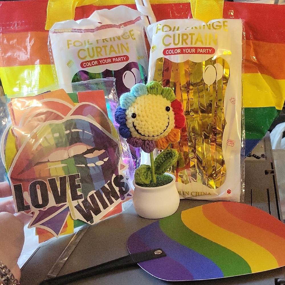 Pride Rainbow Party Decoration Bundle • Curtains Fanny Packs Fan & Plush